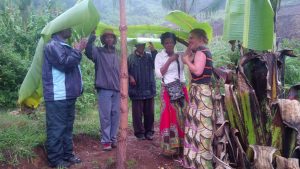 Der erste Projektabschnitt in Shume wird evaluiert.